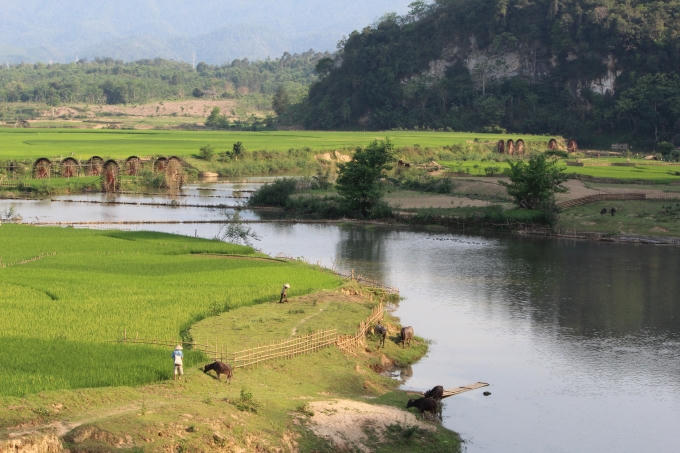 Các guồng ở ruộng đồng Chiêng Ngam thuộc trời tây Xứ Nghệ. (ảnh: Minh Long).