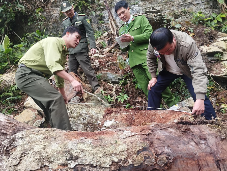 414745593_684243487207833_6570452038291163405_n