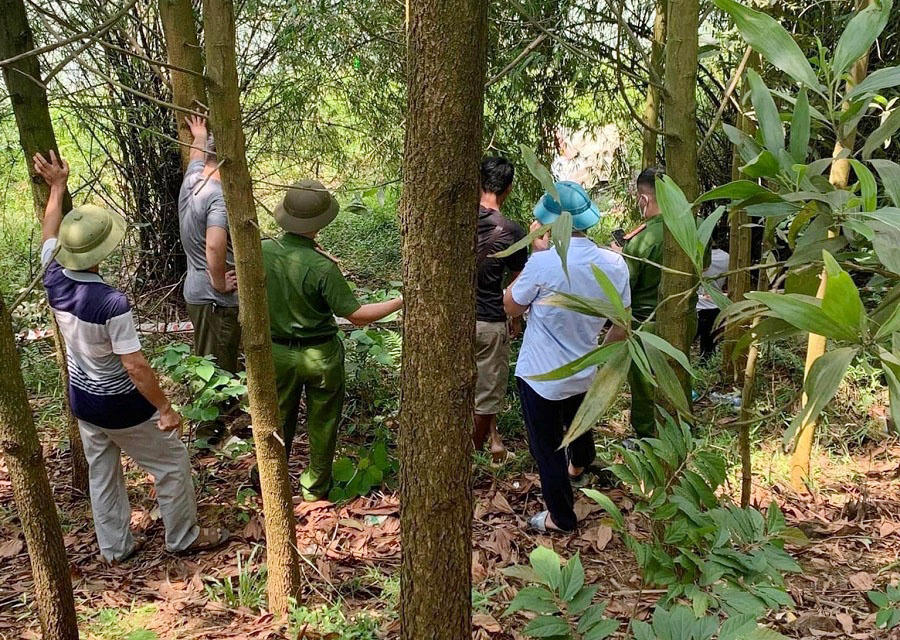 358489123_1203486340342592_8002419077171379603_n