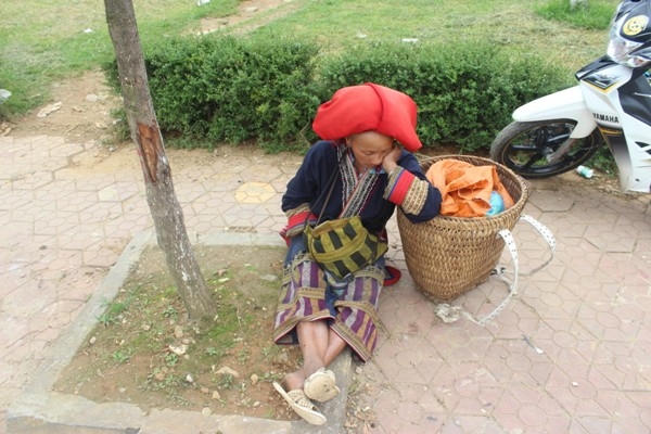 Một phụ nữ ngủ gục bên chiếc gùi dưới gốc cây giữa trưa hè.