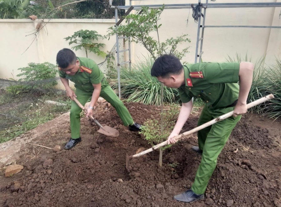 Công an thị xã Buôn Hồ trồng cây xanh làm theo lời Bác Hồ.