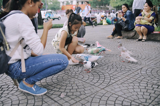 Đàn bồ câu rực rỡ được các em nhỏ ưa chuộng. Ảnh: Quỳnh Trân.