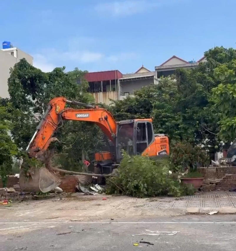 Một số cây cối của vợ chồng ông Sáu bị phá dỡ.