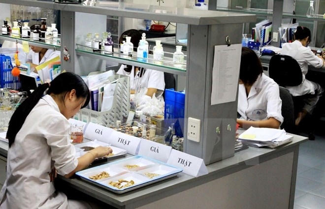 Công tác kiểm nghiệm về chất lượng của dược liệu. Ảnh: TTXVN/Vietnam+