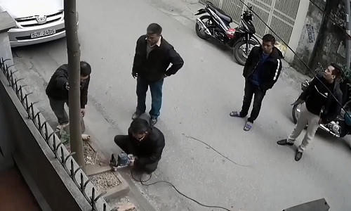 Nhóm "lâm tặc" cắt cây xanh trước cửa nhà dân.