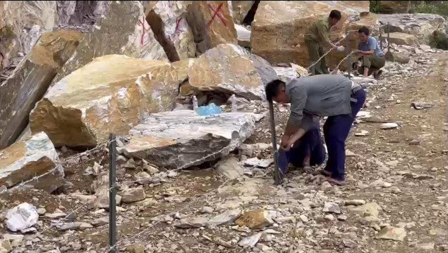 z4509710026697_17d720aa66057271e9f206ca0cbf236f