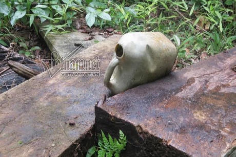 Can xăng rải rác ở những điểm xẻ gỗ
