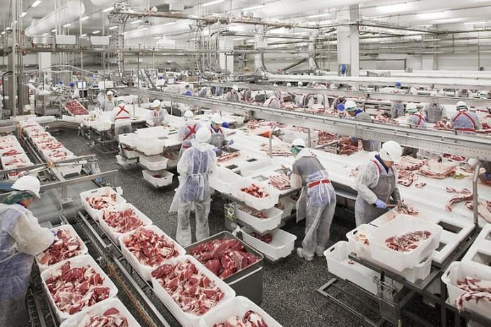 Hàng nghìn tấn thịt lợn nhập khẩu từ Nga chuẩn bị về Việt Nam. Ảnh: Vietnamnet