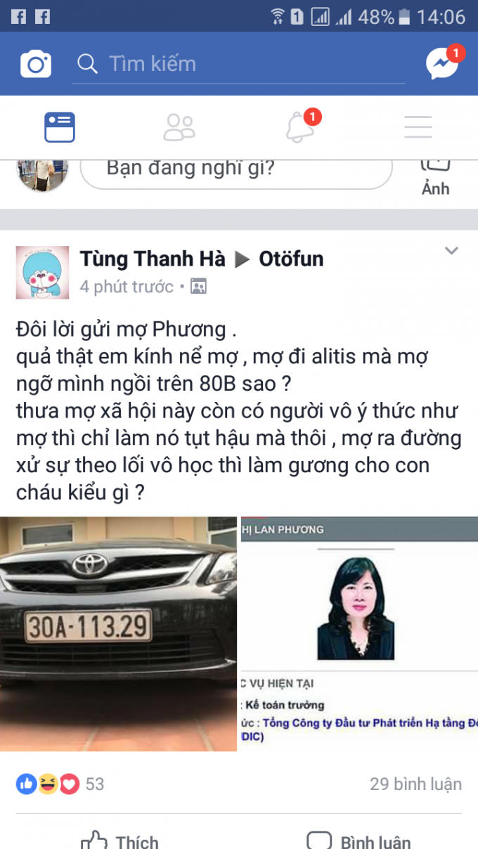Hình ảnh, thông tin cá nhân của bà Mai Thị Lan Phương được gán cho là người trong clip nữ tài xế quay xe ô tô trên cầu.