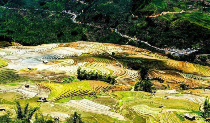 Mùa nước đổ Hà Giang, những thửa ruộng bậc thang được trồng mạ non rất đẹp.