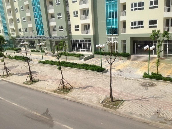 Những cây xanh tốt được đưa về giờ đây biến thành những cành cây khô trên đoạn đường này.