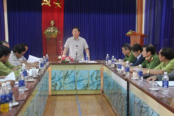 UBND tỉnh họp chỉ đạo việc điều tra, xử lý các vụ phá rừng.
