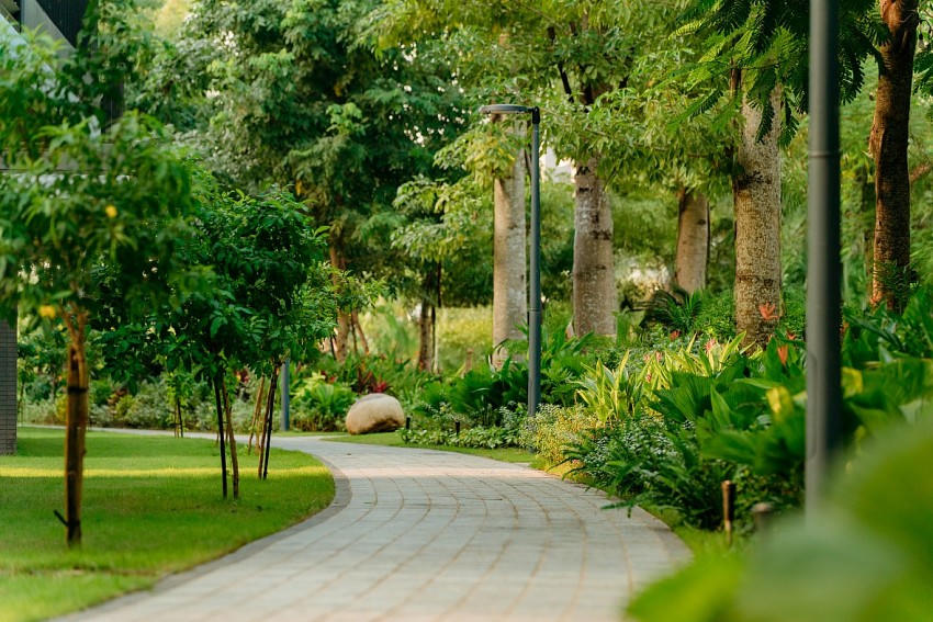 Cung đường dạo bộ 5 giác quan.