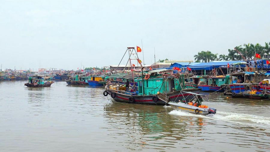 TP Hải Phòng cấm toàn bộ phương tiện thủy sản, tàu du lịch và tàu thuyền nội địa rời bến từ 13h ngày 24/8 nhằm bảo đảm an toàn trước bão số 5.