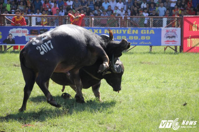 Cận cảnh những m&agrave;n