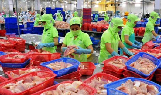 Không có biện pháp kiểm soát tình trạng lạm dụng kháng sinh và thuốc thú y trong chăn nuôi, nuôi trồng thủy sản nhiều mặt hàng XK chủ lực của Việt Nam sẽ mất dần thị trường.