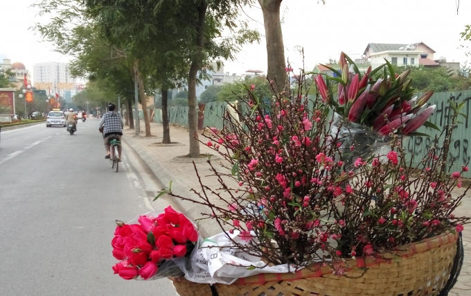 Cành đào được bán sau những ngày Tết.