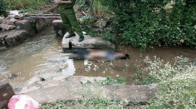 Thi thể người đàn ông được người dân phát hiện dưới mương nước (ảnh minh họa).