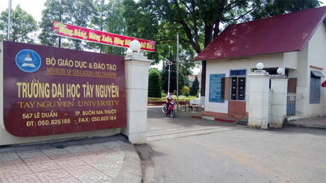 Trường Đại học Tây Nguyên, đơn vị công tác của hai giảng viên.