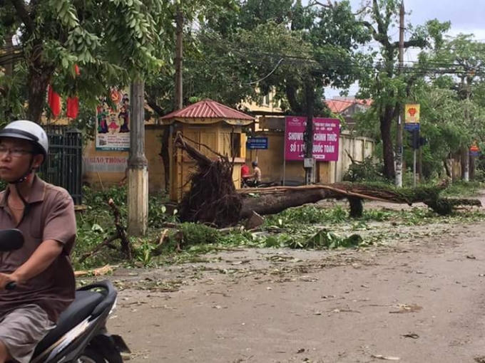 Ảnh: Duy T&aacute;m.