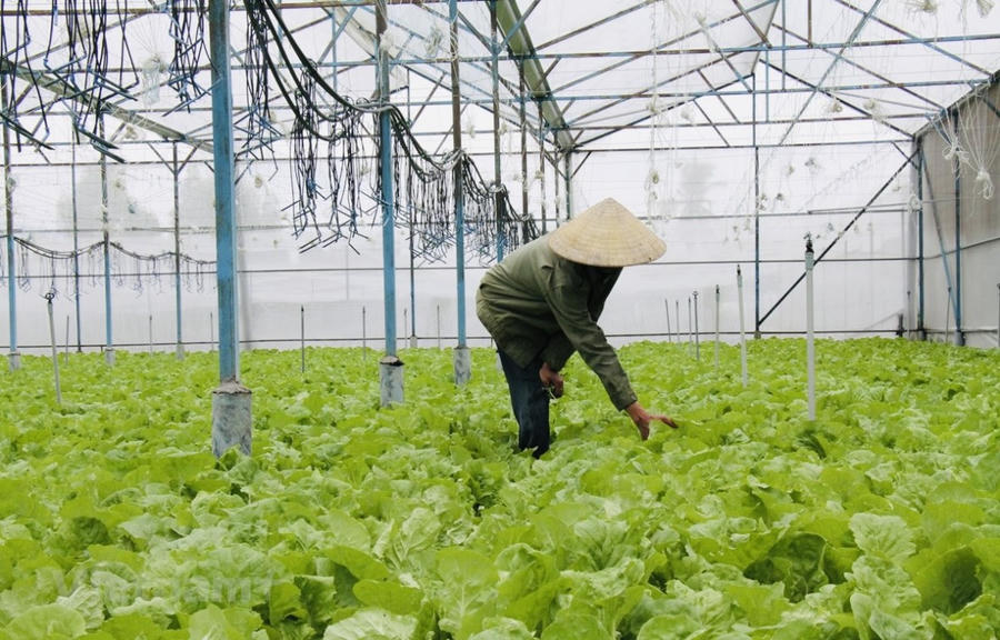 Đại hội đề ra nhiệm vụ trọng tâm, đẩy mạnh chuyển đổi số và xây dựng “nông dân số”.