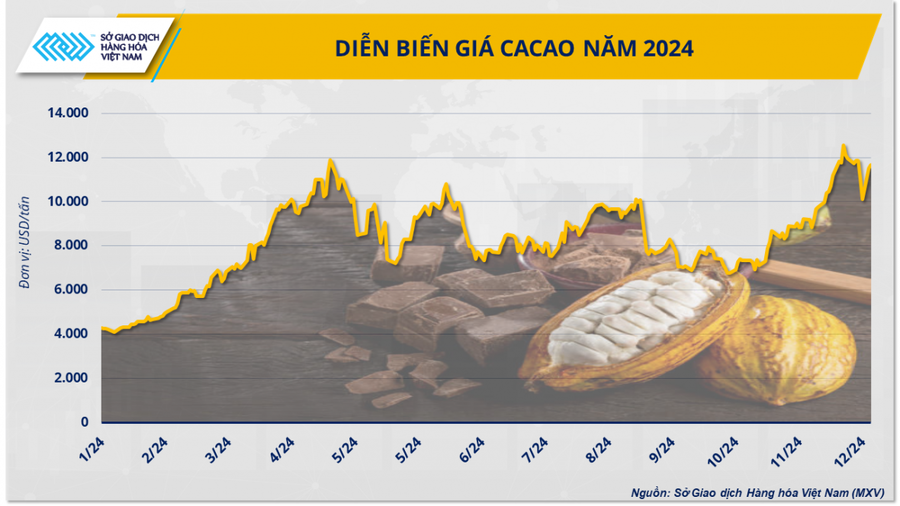Những chính sách mới có hiệu lực từ tháng 2/2025