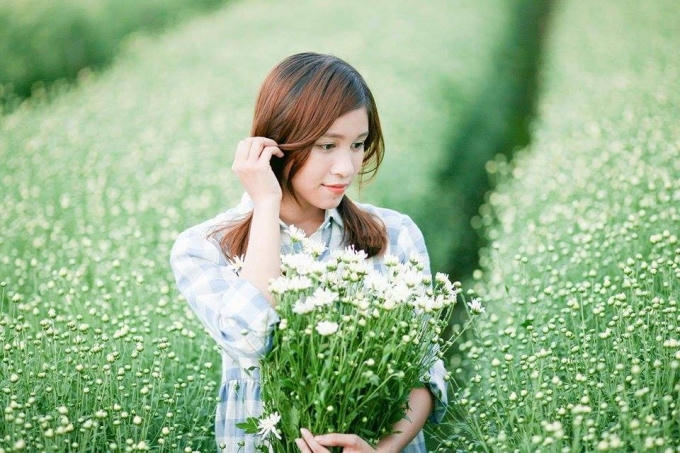 Các bạn trẻ cũng cố lưu giữ những khoảnh khắc bên cúc họa mi.