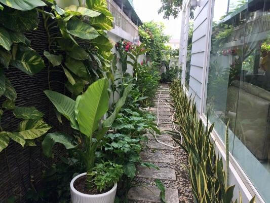Lối đi cũng được trồng rất nhiều hoa và cây cảnh. Ảnh: internet.