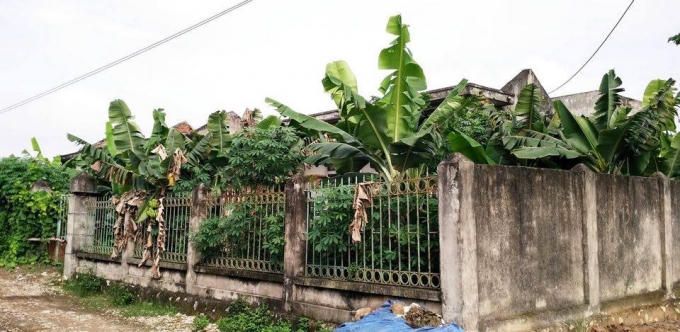 Công trình nước sạch xã Gia Phương nhìn giống vườn chuối hơn là công trình nước sạch.