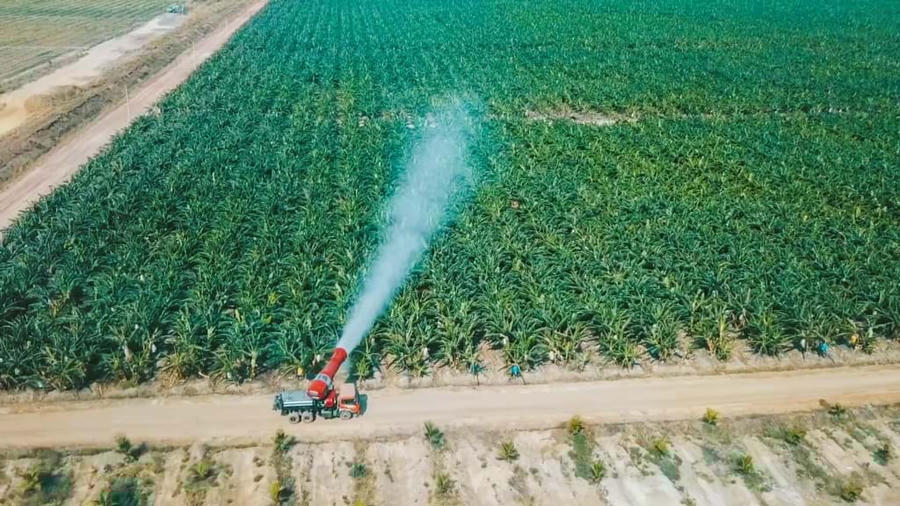 Hệ thống tưới nước tự động của HAGL Agrico.