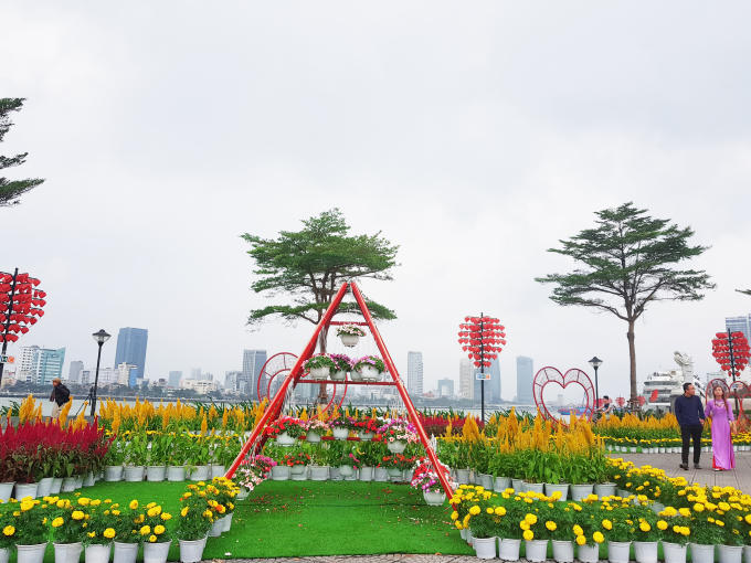 Vườn hoa xuân tô điểm cho TP Đà Nẵng trong những ngày đầu xuân.