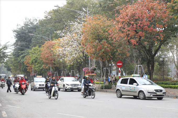 Mùa thay lá, đoạn đường ven Hồ Hoàn Kiếm đa sắc màu.