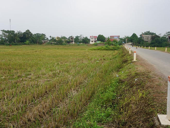 Khu đất nông nghiệp đầu cầu Kim Tân (thuộc xã Thạch Định, H.Thạch Thành) cũng được Công ty Nhật Nam giới thiệu là dự án đất nền không đúng sự thật