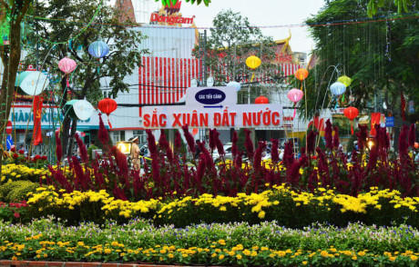 Đường hoa được phân ra các phân đoạn theo chủ đề như: Sắc màu xuân đất nước, Cần Thơ phát triển, Gà và xuân mới, Cổ tích biển…