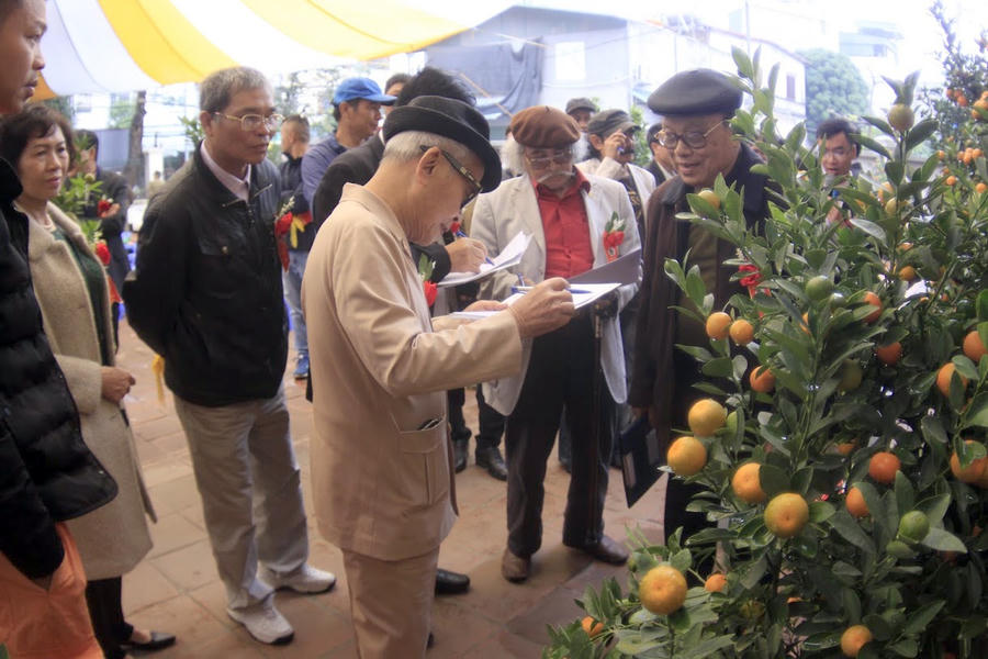 Quất cảnh Tứ Liên “đọ sắc” - 4