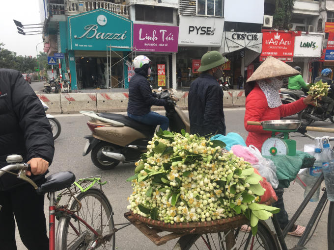 Hoa bưởi được bán theo cân, trung bình 25 nghìn/ lạng.