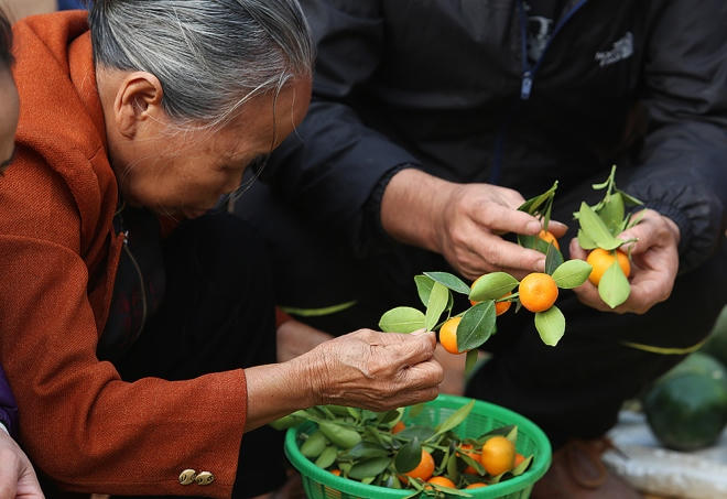 Chợ chủ yếu bán nông sản, vật nuôi, đồ dùng gia đình như chiếu cói, chổi tre, nón lá, áo quần, tăm đũa tre, bánh rán, kẹo bột, bỏng gạo... Trong phiên cuối cùng của năm, chợ Nủa bán nhiều hàng hóa phục vụ dịp Tết.