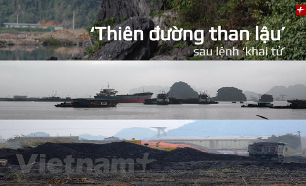 "Thiên đường than lậu" tại khu vực km6, phường Quang Hanh, thành phố Cẩm Phả. (Ảnh: P.V/Vietnam+)