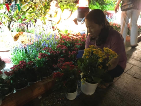 Nhiều người d&acirc;n tranh thủ bưng những chậu hoa ưng &yacute; về trước khi bị thu dọn.