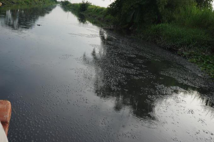 Mặc dù nhà máy xử lý nước thải KCN An Nghiệp giai đoạn 2 đã được đưa vào sử dụng nhưng nguồn nước tại địa phương vẫn đang trong tình trạng ôi nhiễm trậm trọng.