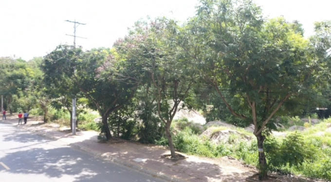 Thửa đất khiến một gia đình 3 đời đi tìm công lý  