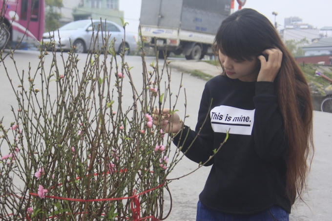 Theo những người bán đào tiết lộ, những cành đào này sẽ chơi được tới sát Tết âm lịch