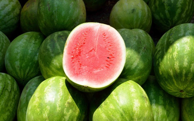 Nông sản dồn ứ không thể xuất khẩu sang Trung Quốc