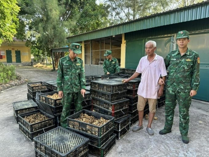 Một đối tượng đang vận chuyển gần 18.000 con gà giống từ khu vực biển Trung Quốc sang Việt Nam thì bị Bộ đội Biên phòng Trà Cổ bắt giữ ngày 1/10.