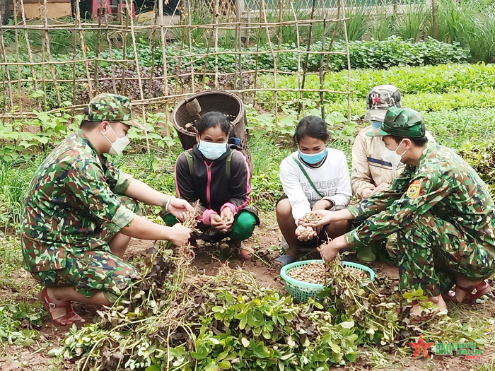 “Bài học” về chuyển đổi cây trồng từ khoai sang lạc trên đất cát của cán bộ, chiến sĩ Đồn Biên phòng Thanh dành cho đồng bào Vân Kiều trên địa bàn.