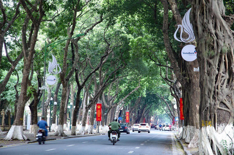  Phố Phan Đình Phùng