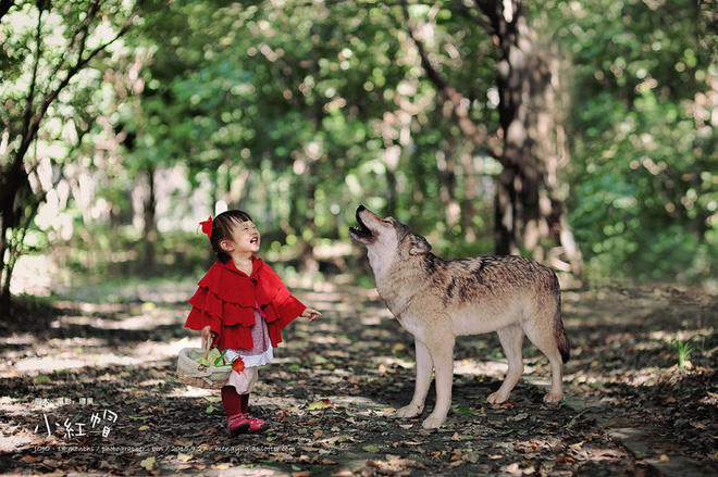 "Cô bé quàng khăn đỏ" ở thời hiện đại.