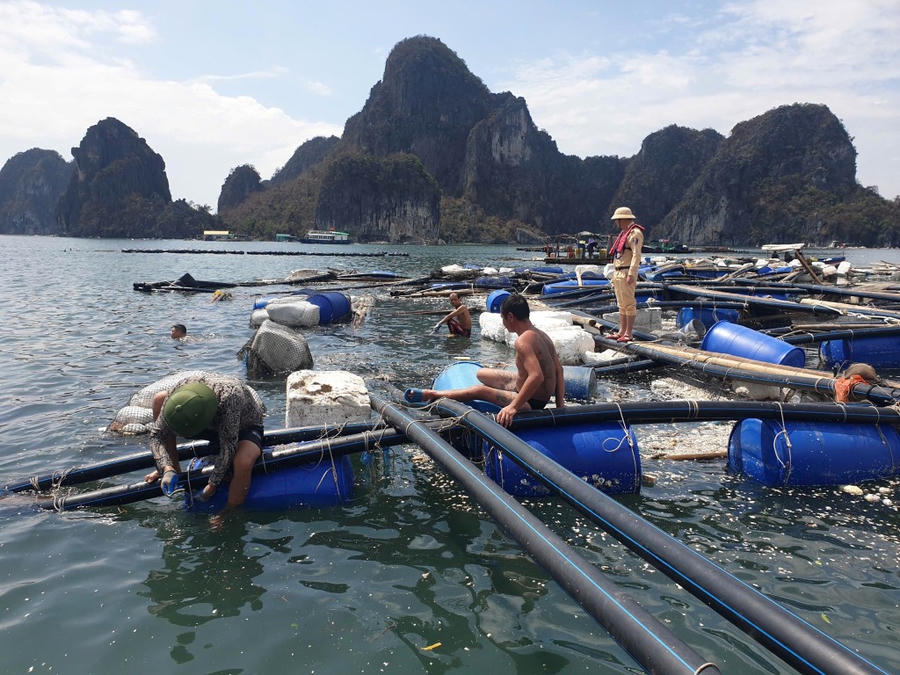 Bão số 3 gây thiệt hại cho nhiều người dân và doanh nghiệp trên địa bàn tỉnh Quảng Ninh.