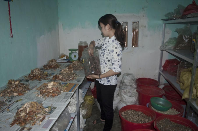 Lương y Hường đang bốc thuốc cho các bệnh nhân.