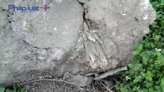 Lõi gỗ lòi ra sau khi trụ cột đổ rạp.